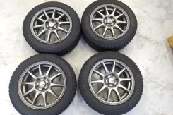 Abelia Sport