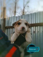 ������ ����� � ������ ���� ����