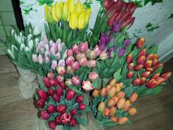 ��������. ����