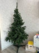 ���� �������������. ����