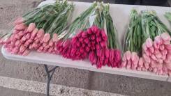 ��������. ��� ����� �� ������� ����