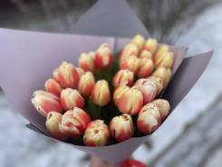 ��������. ����