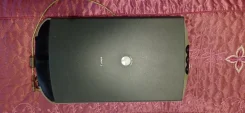 �������. ����