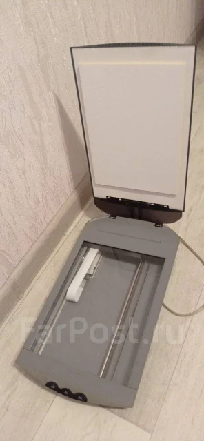�������. ����