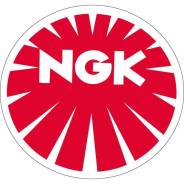 ����� ��������� NGK 3116 IZFR6B 3116 ����