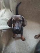 �����. ����