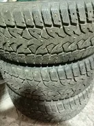 Compasal Winter Stud. ������, ����������, 2024 ���, �/�, ����� 10 % ����