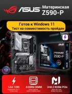 Z590. ��� ����� �� ���������� ����