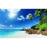 ������ ��� ���� BURO BU-M10012 �������/���� (230x180x2mm) ����