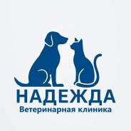 ������������-������������. �� �������� �.�. ����� ������������ 2 ����