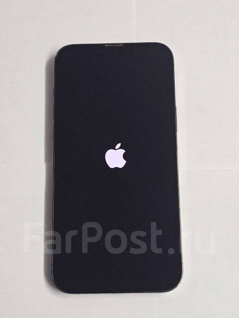 Apple iPhone 13 Pro Max. �/�, 1 ��, �����, 3G, 4G LTE, 5G, Dual-SIM, ����������, NFC, eSIM, ������� �������, ������������ ������� ����