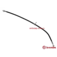 ����� ���������, �������� ����� Brembo T83119 T83119 ����
