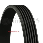 ������ ������������ Contitech Continental 6PK1767 6PK1767 ����