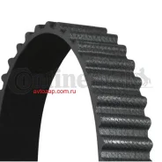 ������ ��� Continental CT841 CT841 ����