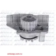 ����� �������� ���������� C117 ����