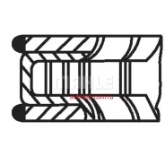 ������ ���������! d86x1.5x1.5x3 +0.5 (1) Opel Astra/Kadett 2.0 86 Mahle 01158N1 01158N1 ����
