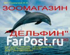 ��������. �� �������� ��������� ������������. ����� ��������� 8 ����