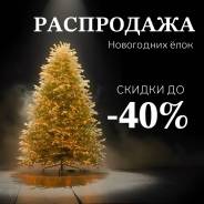 ���� �������������. ����