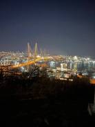 ��������� �������-������. �� ������. ����� . ������� ������ ����