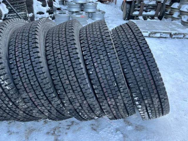 Dunlop Dectes SP001. �����������, 2024 ���, ����� ����
