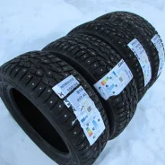 ZMax Winternova Stud I. ������, ����������, 2023 ���, ����� ����