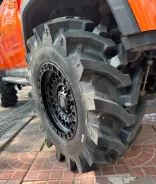 Lakesea Alligator. ����� mt, 2025 ���, �����. ��� ����� �� ���������� ����
