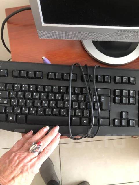 ����������. ����