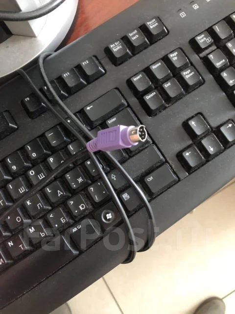 ����������. ����