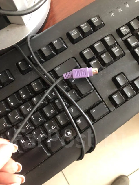 ����������. ����