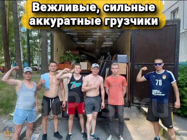 ��������. ����