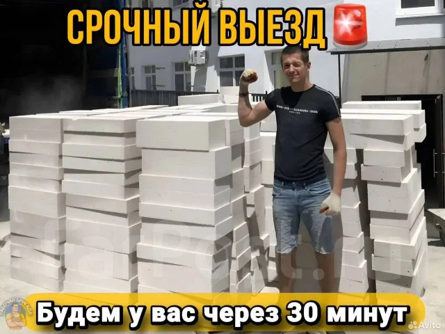 ��������. ����
