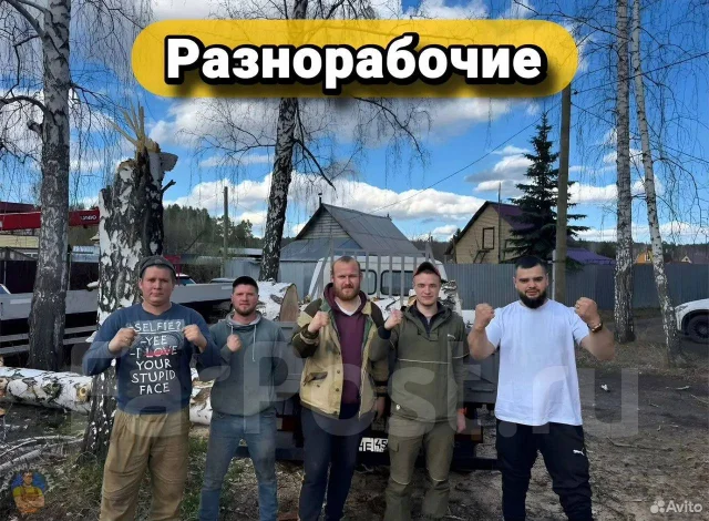��������. ����