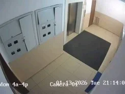 �������, ���������. ��� ������. ����� ������ 4� ����