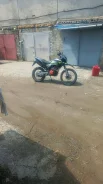 Regulmoto TE. 300����. ��., ������ �� �� ����