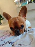 ��������. ����