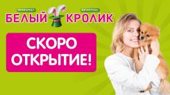 ������������� ��������. �� ��������� �.�. �������� 100-����� ������������ 150� ����