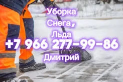 ������ �����, ���� ����