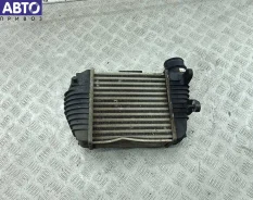 ���������� Audi A6 C6 (2004-2011) ����
