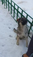 ������. ����