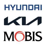 ������ ��������� Hyundai/KIA/Mobis 289103E100 ����