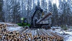 �������� ��������-������� ����, �������. ��� "��� ��". ����� 65-����� ������ 1/11 ����