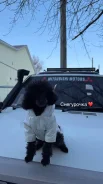 ���������� ������. ����