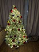 ���� �������������. ����