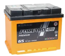 Forward. 65��.�., 620��., ������ ����