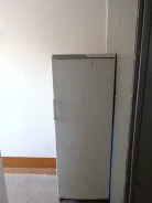 ������ �����������. ����