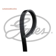 ������ ������������ XF 48373 Gates 4PK1100 4PK1100 ����