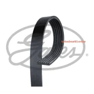 ������ ������������ XF Gates 6PK1043 6PK1043 ����