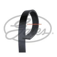 ������ ������������ XF 68399 Gates 6PK1428 6PK1428 ����