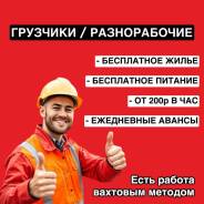 �������-������������. ��� "������". �����������, ��. ������ 33� ����