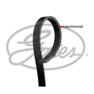 ������ ������������ XF 48373 Gates 4PK1100 4PK1100 ����